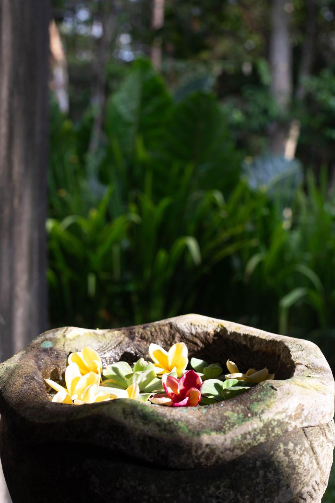Suara Air Luxury Villa Ubud Εξωτερικό φωτογραφία